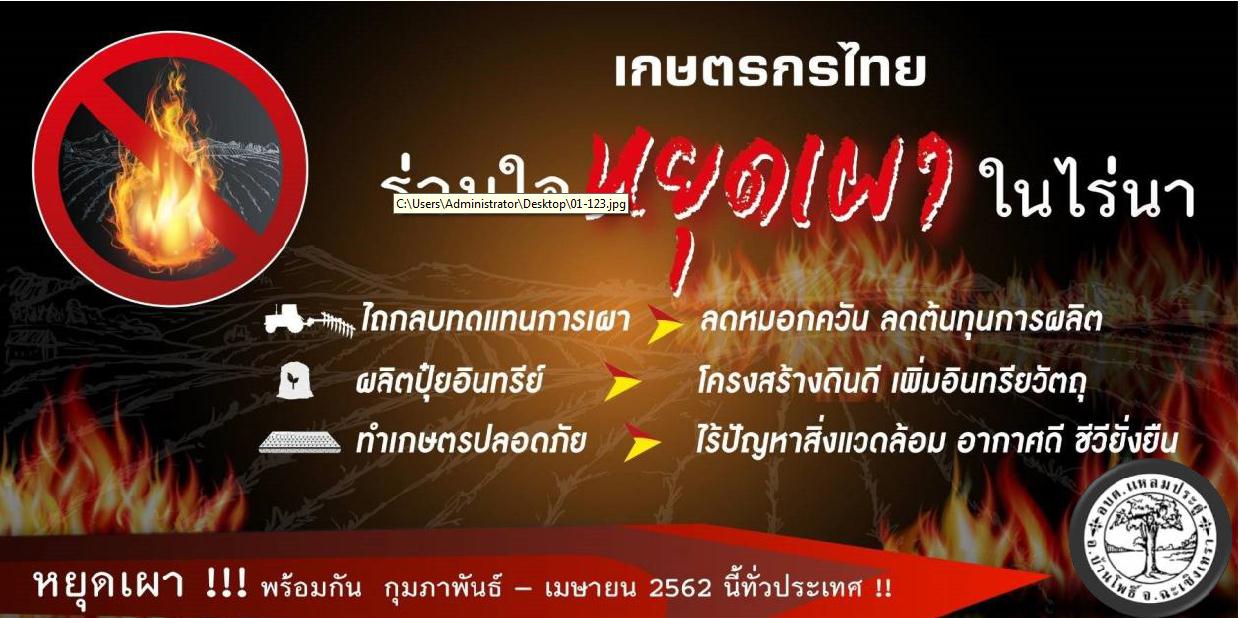 รูปกิจกรรม